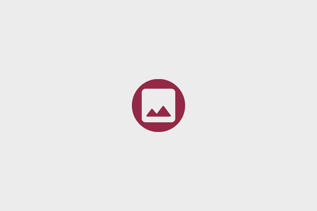 Project showcase